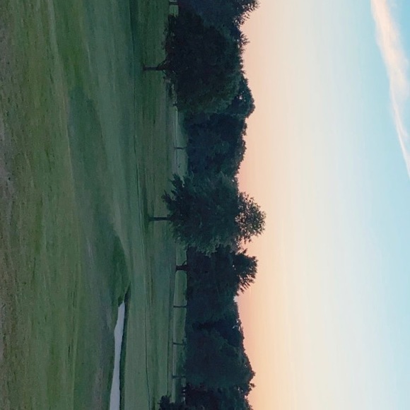 Meet your Posher, Audrey - Picture 1 of 1